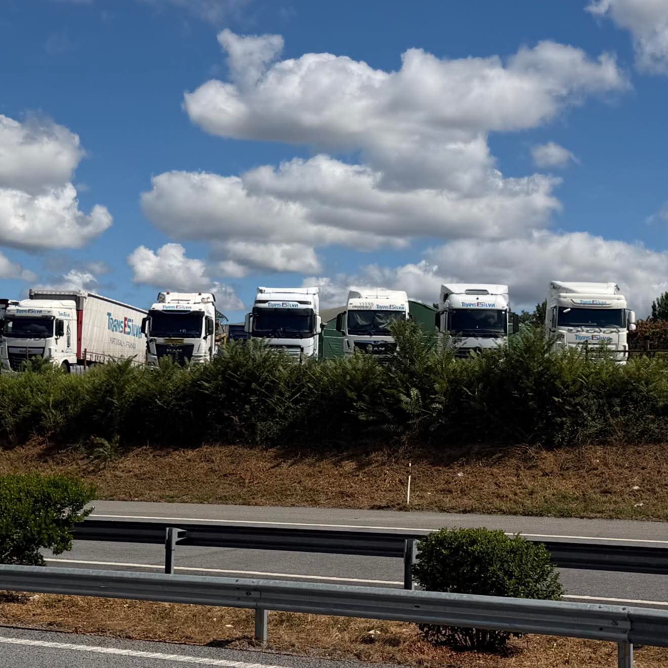 Frota TRANS F. SILVA